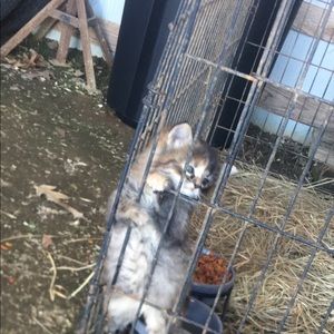 Meet your Posher, Kenzie